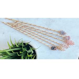 Estacas de Cobre Naturales para Jardinería Electrocultural, Estacas de Cobre para el Crecimiento de Plantas a Precio de Mayoreo - Product Image 2