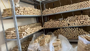 MÁS VENDIDO: Mordedor de Madera de Café con Cuerda, Juguete Ecológico para la Dentición, Cuidado Dental, Alivio del Estrés, para Masticadores Agresivos, Venta al por Mayor - Product Image 4