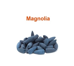 แท่งธูปแมกโนเลียธรรมชาติสีฟ้าแบบมีกลิ่นหอม - Product Image 1