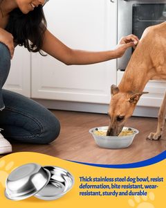 Tazón de Acero Inoxidable de Alta Calidad para Comida y Agua de Perros y Gatos, Ecológico, a Prueba de Fugas, Portátil, Apto para Lavavajillas, Duradero - Product Image 3