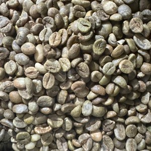 Venta al por Mayor de Granos de Café Robusta Vietnamita Limpio, Tamaño 16 A Plus, 95-99% de Pureza, Natural, Bolsas a Granel de 60 kg para Exportación - Product Image 5