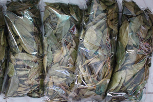 ใบชาดำซูซอปแห้ง ใบชาบดละเอียด 100% ออร์แกนิคธรรมชาติ ไม่มีน้ำตาล ชงในน้ำร้อน 4-5 นาที - Product Image 2