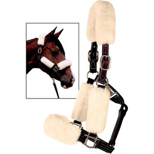 Cabestros de Cuero para Caballo Estilo Western con Logotipo Personalizado, Refuerzos Resistentes, Banda Nasal Cosida y Acolchada, y Cierre de Broche en el Cuello - Product Image 4