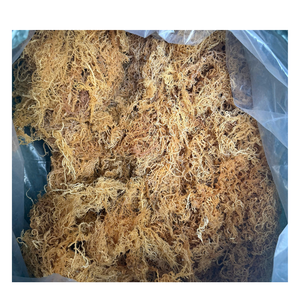 Alga Eucheuma Cottonii Seca Premium, Materia Prima Natural para Procesamiento de Alimentos, Suministro de Exportación desde Vietnam - Product Image 6