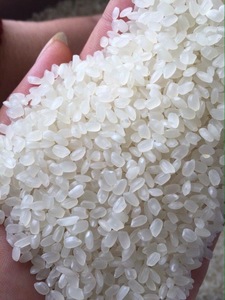 ข้าวขาวญี่ปุ่นเมล็ดสั้น ราคาดีที่สุด เนื้อนุ่ม ใยอาหารสูง คาร์โบไฮเดรตต่ำ ควบคุมน้ำหนัก ขายส่งจำนวนมาก สำหรับร้านอาหาร - Product Image 6