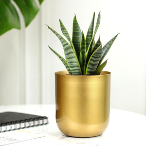 Brass Planter Pot Handicrafts Planter Pot Flower Pot Decorative Home Garden Balcony Decoration Pieces - Product Image 6