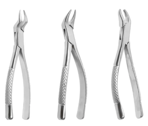 ชุดเครื่องมือถอนฟันสแตนเลสคุณภาพสูง - Product Image 2