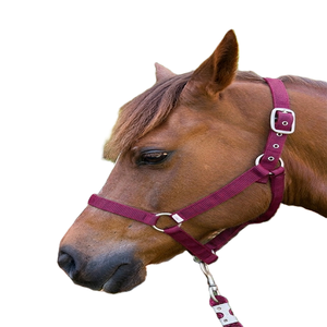 Harnais de cheval en sangle de nylon, harnais de course pour chevaux, confort élevé, qualité supérieure, double réglage en nylon - Product Image 3