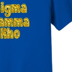 T-shirt personnalisé Sigma Gamma Rho avec sequins brodés, col rond élégant à manches courtes pour femme, motif lettres grecques de sororité - Product Image 6