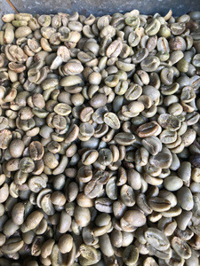 HANCOFFEE 2026 เมล็ดกาแฟโรบัสต้าเวียดนามสีเขียว ผลผลิตใหม่ - ราคาขายส่งถูกที่สุด - บรรจุในถุง PP/ถุงปอกระเจา ขนาด 60 กก. - มีตัวอย่างฟรี - Product Image 3