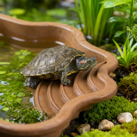 Neues Design Kunststoff-Reptilien-Badewanne Schildkröten-Badepool Reptilien-Futterschale Wasserbadewanne für Gecko Schlange Schildkröte Eidechse