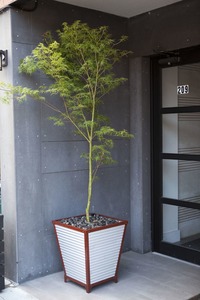 Pots de fleurs modernes pour jardin en gros – Jardinières décoratives durables pour espaces intérieurs et extérieurs - Product Image 3