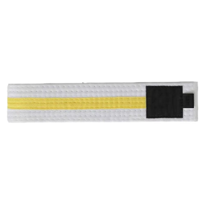 Stripe <b>Bar</b> Judo Ranking Belt for Kids and Adults Customizable Logo Sports Karate Belt Martial Arts Clothing - Product Image 2