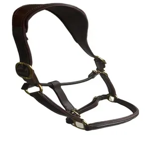 horse Padded Leather halter Quality Stitched designed crown Nose Band Cob Oversize Manufacturer Riding Tack Shop Kanpur India