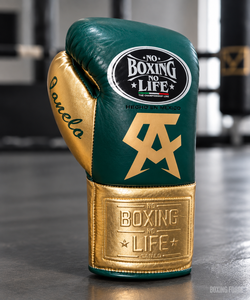 No Boxing No Life Leather Boxing Gloves Green Gold Lace-Up Customized Color Lightweight Breathable Made Pakistan Adult Training - Product Image 2