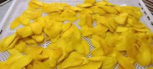 Mango Deshidratado Premium Suave de Alta Calidad, Snacks de Fruta Deshidratada, Precio al por Mayor - Marca 99 GOLD DATA - Product Image 5