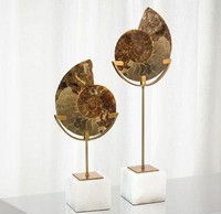 Escultura Moderna de Amonita Fósil, Pieza de Arte Decorativa Ecológica para el Hogar, Ideal para Exhibición en Mesa de Sala de Estar en Diwali