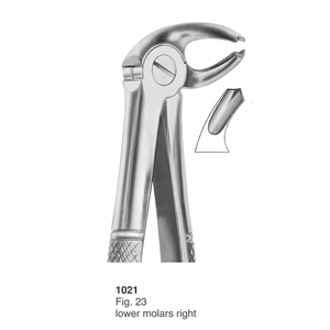 คีมถอนฟัน รุ่น Fig. ฟันกรามล่างขวา 23 ซี่ (แบบอังกฤษ) |   สแตนเลสเกรดพรีเมียม - Product Image 2