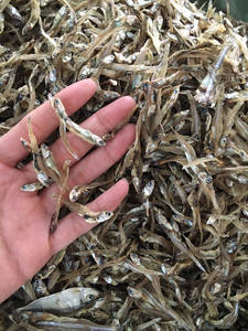 Anchois séchés vietnamiens de qualité supérieure, approvisionnement en fruits de mer de haute qualité pour les collations et la cuisine à un prix compétitif - Product Image 3