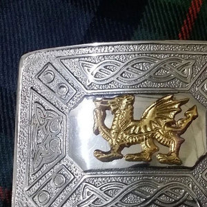 Nouvelle boucle de ceinture écossaise traditionnelle pour homme, motif dragon celtique gallois, finition chromée, bicolore, OEM ODM - Product Image 6