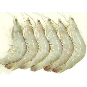 Crevettes surgelées de qualité supérieure, vente en gros, approvisionnement en vrac, prêtes à être expédiées, qualité alimentaire, exportation mondiale - Product Image 1