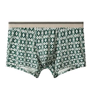 Soft High Quality 100% <b>Polyester</b> Breathable Casual Men's Underwear Brief Comfortable Shorts Elastic Waist Anti-UV Protection - Product Image 1