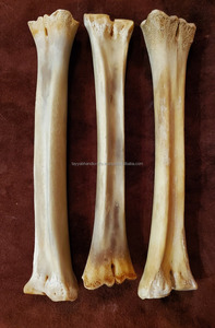 Nourriture pour chien, os à mâcher pour chien, forme d'os, os à mâcher pour chien, nourriture pour animaux de compagnie, prix très raisonnable en provenance d'Inde - Product Image 4