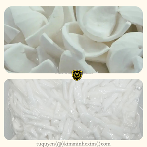 Tiras de Carne de Coco Congelada al Vacío IQF a Granel de Filipinas, Alargadas con Conservación de Agua para Procesamiento de Alimentos - Product Image 3