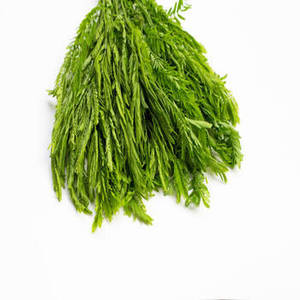 Espirulina Pura en Polvo al por Mayor, Alta en Proteínas (60%), Alga Verde-Azul, Antioxidante, para Pérdida de Peso, Vegano, Sin OMG, en Botella - Product Image 6