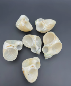 Anillo para servilletas hecho a mano con conchas naturales de Vietnam para decoración de mesas en resorts de lujo y eventos. - Product Image 5