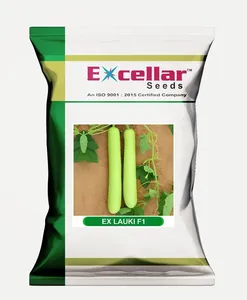 Semi di Zucca Premium CRADLE <span class=keywords><strong>of</strong></span> <span class=keywords><strong>LIFE</strong></span> ad Alta Resa, Durata di Conservazione 12 Mesi per Uso Agricolo - Product Image 5