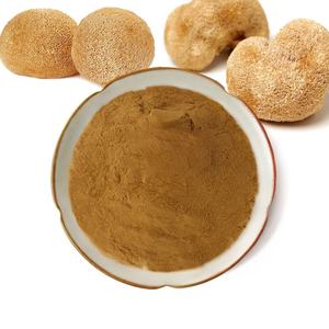 High Strength Lion's Mane Extract 50% Food Grade Premium Quality Lion Mane Mushroom Extract Fine <b>Texture</b> Clean Label Supply - Product Image 4