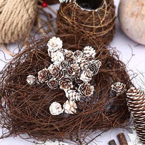 Pignons de pin séchés naturels pour décorations de Noël, artisanat DIY, fabrication de couronnes, vente en gros - Product Image 3