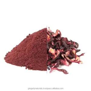 Polvo de extracto de planta de hibisco de la mejor calidad de proveedores en India a precio mayorista