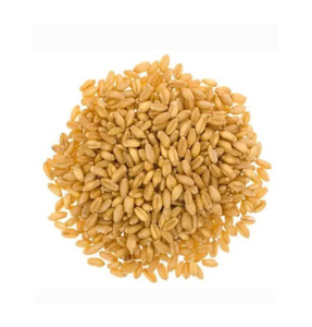 Venta Caliente: Granos de Trigo Blando de Primera Calidad al por Mayor, Suministro a Granel, Listos para Enviar, la Mejor Calidad, Grado Alimenticio, para Exportación - Product Image 2