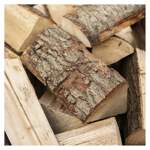 Troncos de Madera de Roble Premium de Alta Densidad y Resistencia Superior para Aplicaciones de Construcción e Industriales - Product Image 1
