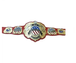 Ceinture de championnat nord-américaine de poids lourd pour le karaté, la boxe, le MMA, la lutte, personnalisable, unisexe, vente en gros - Product Image 5