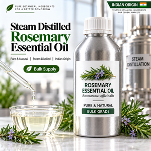 Hojas de Romero Naturales, Rosmarinus Officinalis L, Exportador y Distribuidor a Granel de Materia Prima Botánica - Product Image 1