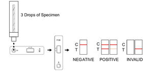 <strong>Malaria</strong> P.f./P.v. <strong>Antigen</strong> Rapid <strong>Test</strong> Kit | High Sensitivity <strong>Malaria</strong> Dual Detection <strong>for</strong> Asia &amp; Africa Markets - Product Image 3