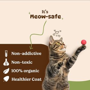 Poudre de Catnip Naturelle Séchée pour Chats, Herbe Fraîche, Feuilles de Catnip 20 Mesh, Catnip Broyé, Matière Végétale Premium pour Animaux de Compagnie, Vente en Gros - Product Image 3