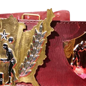 Cinturón de Campeón Mundial de Lucha Libre, Correa Roja, Diseño con Placa Dorada, Edición de Colección, Cinturones de Título Premium - Product Image 5