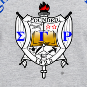 เสื้อยืดแขนยาว Sigma Gamma Rho Grey Heritage Crest 1922 Greek Sorority ผ้าฝ้ายพรีเมียม เสื้อยืดลายกราฟิก คลาสสิค สวมใส่สบาย - Product Image 6