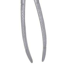 ARISTON INTERNATIONAL Pinzas de Extracción Dental de Alta Calidad con Patrón Inglés, Acero Alemán, Alicates Manuales en Venta - Product Image 3