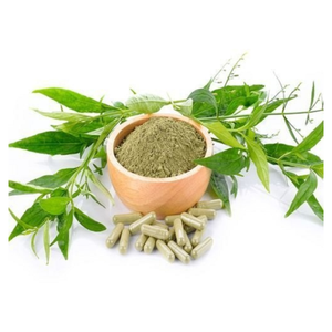 Poudre de Kalmegh Pure en Gros, Poudre d'Andrographis Paniculata, Matière Première, Poudre d'Herbes Fines pour Produits de Bien-être - Product Image 3