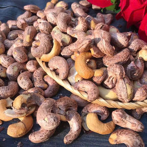 Nueces de Anacardo Tostadas y Saladas de Alta Calidad con Cáscara, Suministro al por Mayor OEM ODM para Importadores - Product Image 6