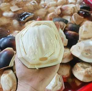 Fruta de Palma Toddy de Vietnam en Jarabe, Cubos de Gelatina de Palma, Suministro a Granel para Té de Burbujas, Postres y Servicios de Alimentación - Sra. Tarina - Product Image 1