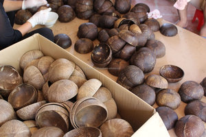 Bac à plantes en noix de coco sculpté à la main au Vietnam avec base, pour plantes succulentes et fleurs, intérieur/extérieur - Product Image 5