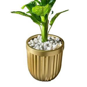 Pots de jardin légers en fer avec revêtement en poudre, disponibles en plusieurs couleurs pour une utilisation en extérieur et en intérieur - Product Image 2