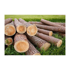 Troncos de Teca Secos de Calidad, Madera de Teca Natural Duradera, Troncos de Madera en Venta - Product Image 1