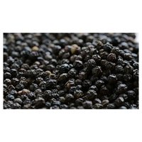 Poivre noir de haute pureté pour les usines de transformation alimentaire, les marchés de gros et les acheteurs de produits agricoles
